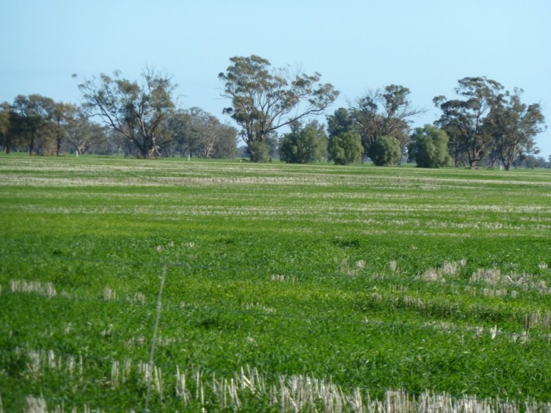 Preston Lane, Moama NSW 2731