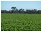 Preston Lane, Moama NSW 2731