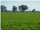 Preston Lane, Moama NSW 2731