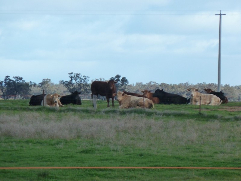 216 Barmah East Rd, Barmah VIC 3639