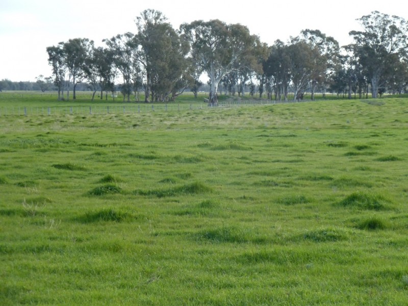 216 Barmah East Rd, Barmah VIC 3639