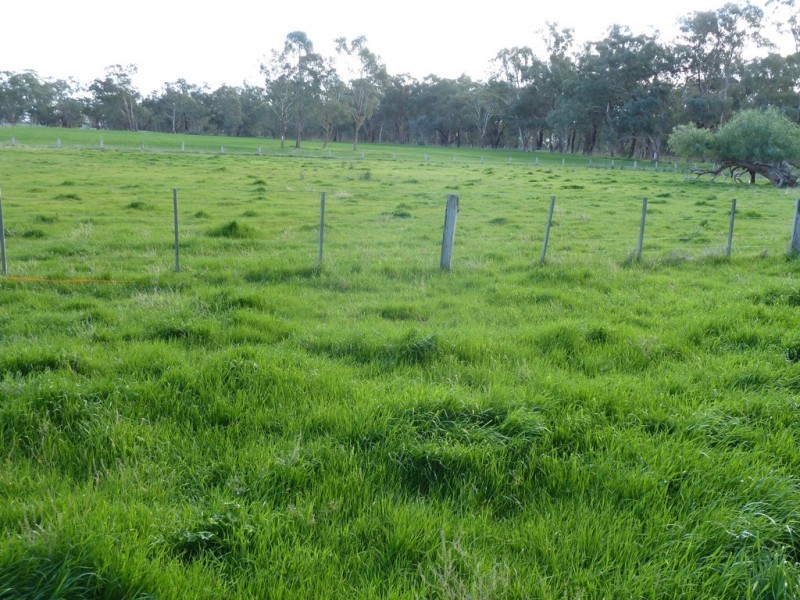 216 Barmah East Rd, Barmah VIC 3639