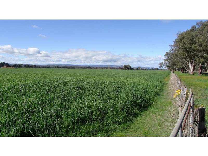 Tarrawingee VIC 3678