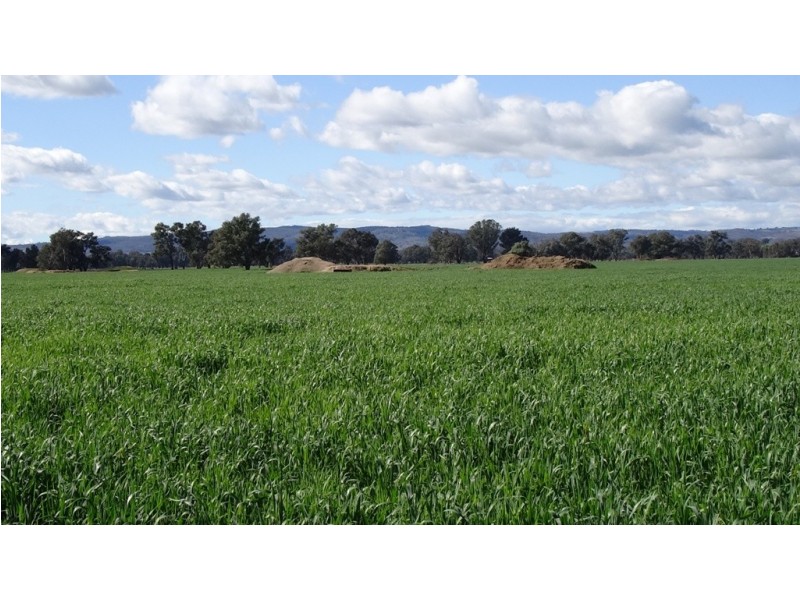 Tarrawingee VIC 3678