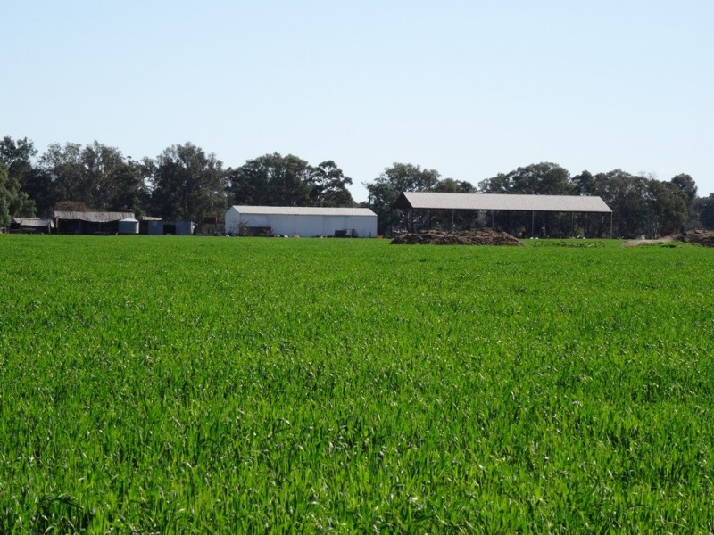 Tarrawingee VIC 3678