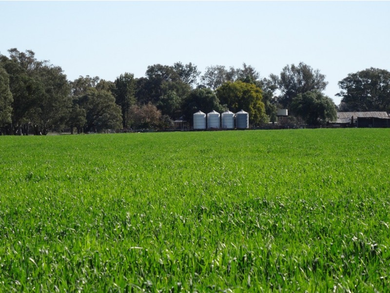 Tarrawingee VIC 3678