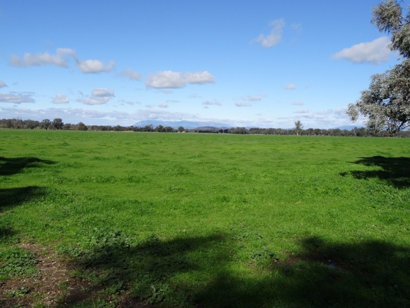 Tarrawingee VIC 3678