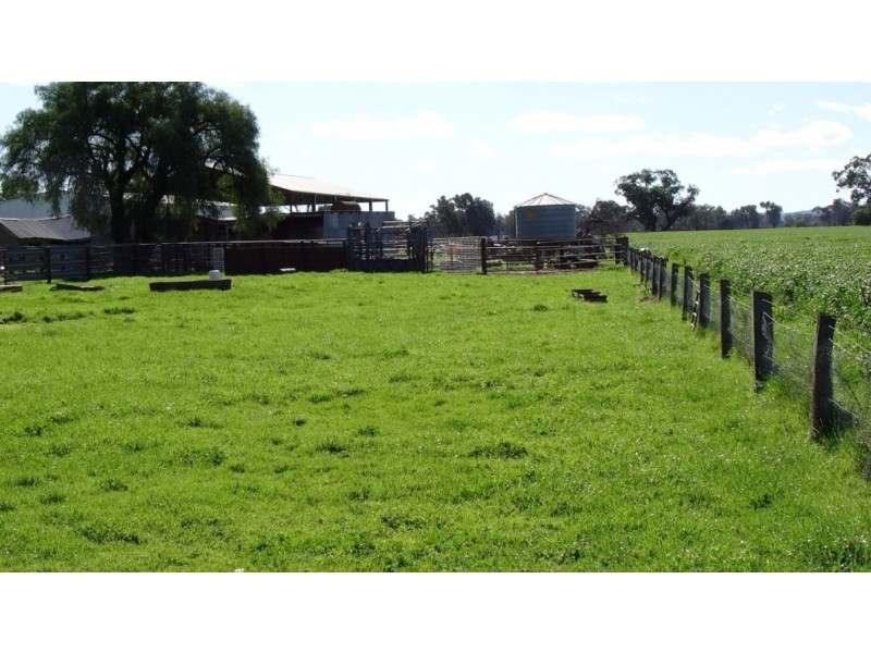 Tarrawingee VIC 3678