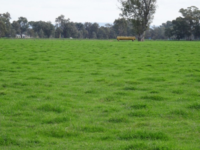 Tarrawingee VIC 3678