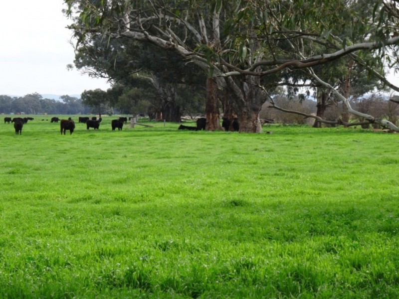 Tarrawingee VIC 3678