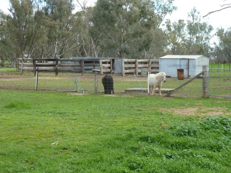 43-63 martin Street, Echuca VIC 3564