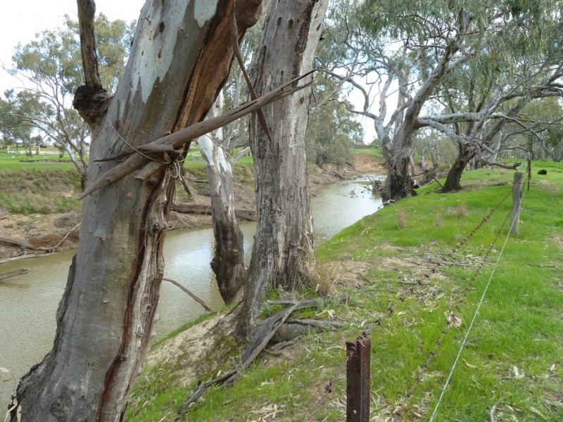 43-63 martin Street, Echuca VIC 3564