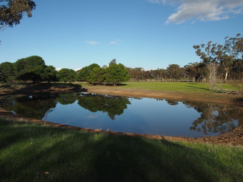 446 Rushworth-Nagambie Road, Nagambie VIC 3608