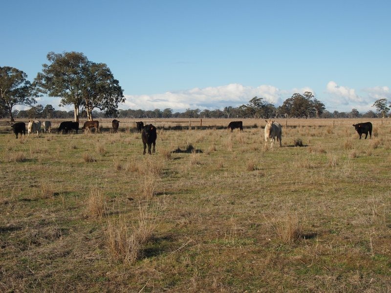 446 Rushworth-Nagambie Road, Nagambie VIC 3608