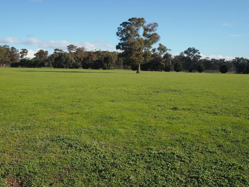 446 Rushworth-Nagambie Road, Nagambie VIC 3608