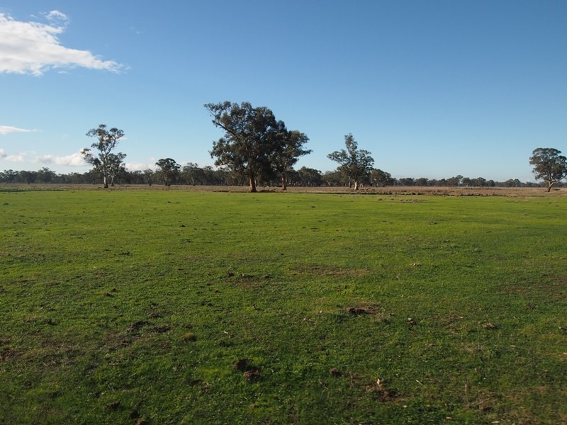 446 Rushworth-Nagambie Road, Nagambie VIC 3608