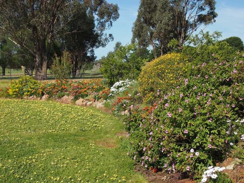 446 Rushworth-Nagambie Road, Nagambie VIC 3608