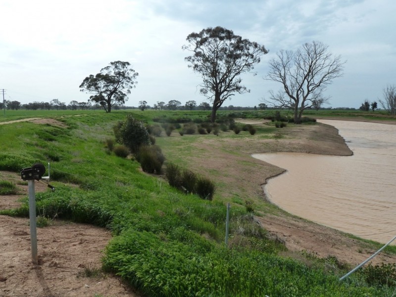 170 Thyra Road, Moama NSW 2731