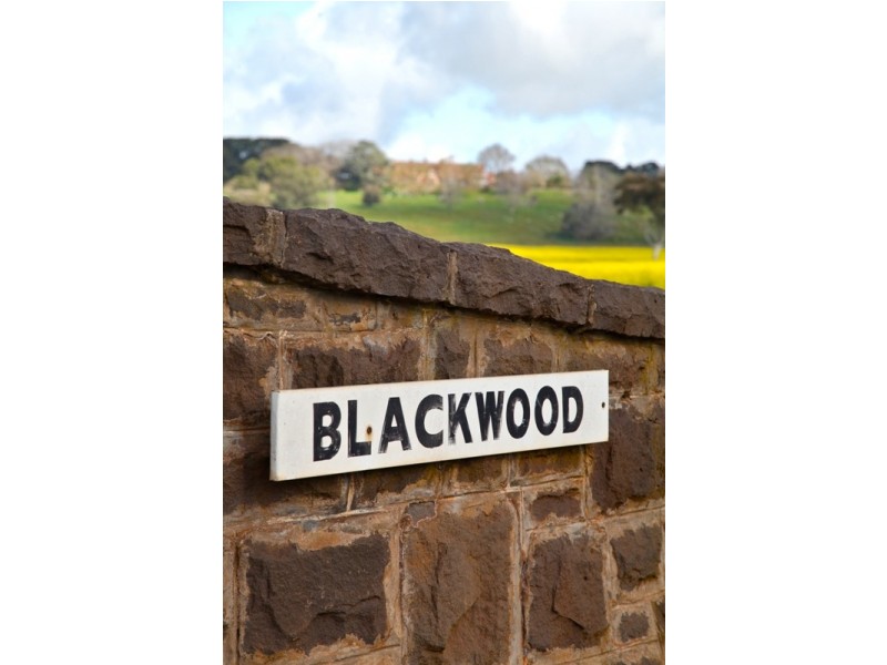 597 Blackwood-Dunkeld Road, Penshurst VIC 3289