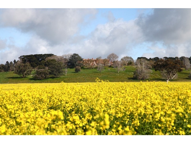 597 Blackwood-Dunkeld Road, Penshurst VIC 3289