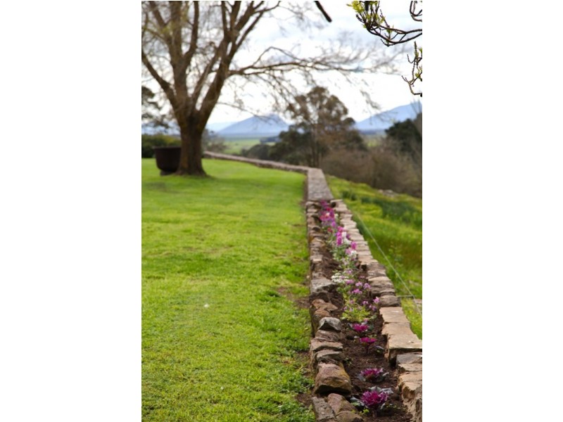 597 Blackwood-Dunkeld Road, Penshurst VIC 3289
