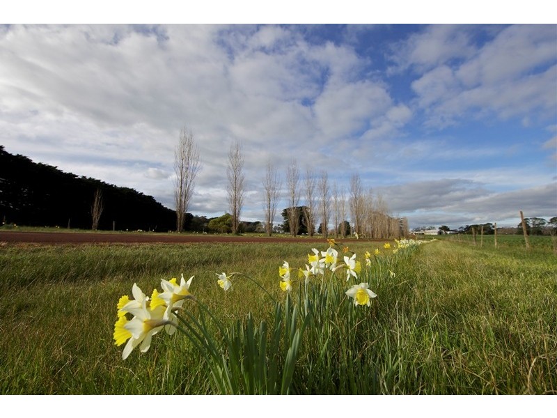 597 Blackwood-Dunkeld Road, Penshurst VIC 3289
