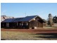 597 Blackwood-Dunkeld Road, Penshurst VIC 3289