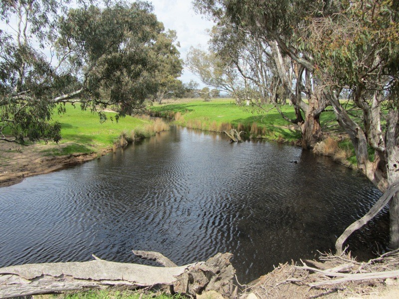 309 Longwood-Shepparton Road, Longwood VIC 3665