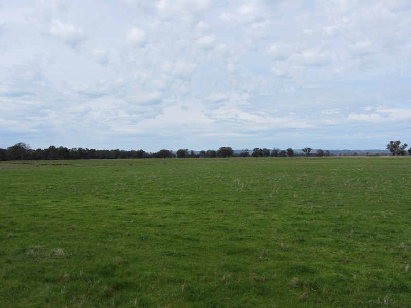 309 Longwood-Shepparton Road, Longwood VIC 3665