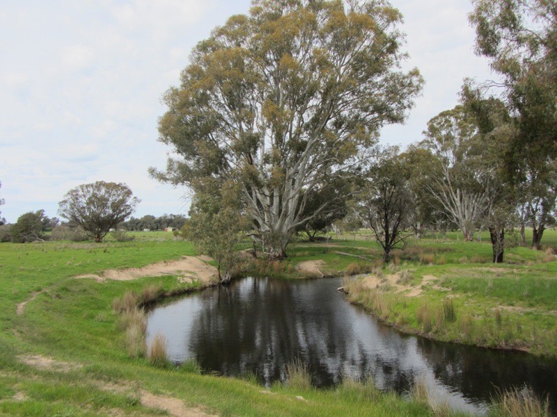 309 Longwood-Shepparton Road, Longwood VIC 3665