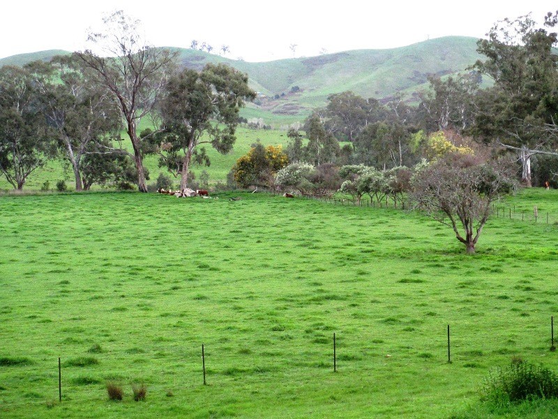 301 Spring Creek Road, Alexandra VIC 3714