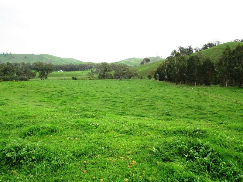 301 Spring Creek Road, Alexandra VIC 3714