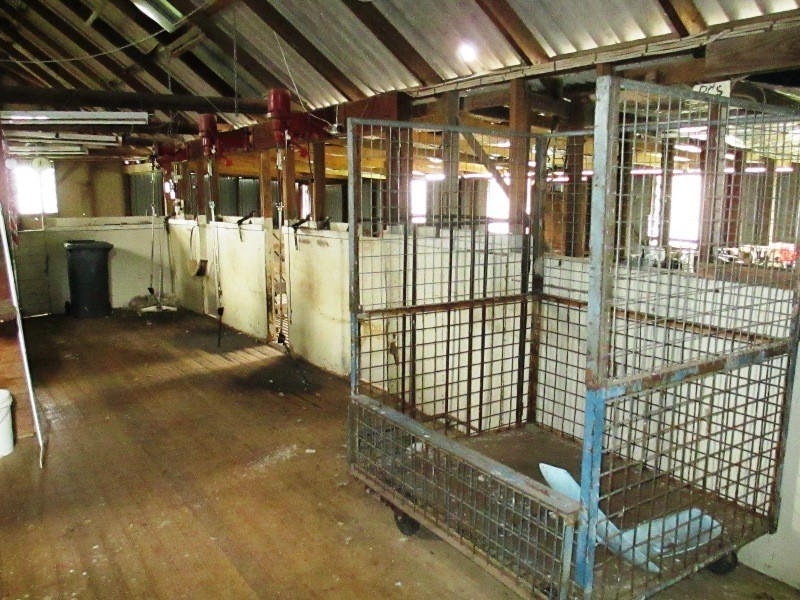 301 Spring Creek Road, Alexandra VIC 3714