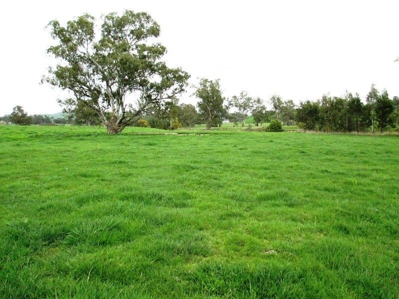 301 Spring Creek Road, Alexandra VIC 3714