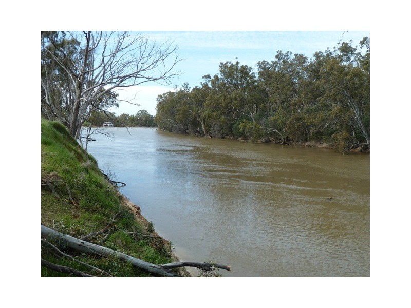 1197 Perricoota Road, Moama NSW 2731