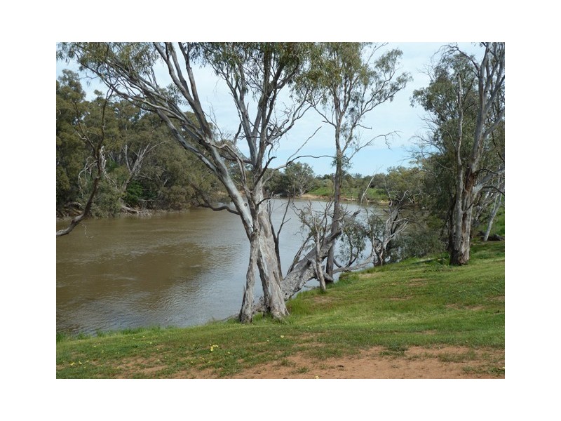 1197 Perricoota Road, Moama NSW 2731