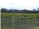 Lot 13 Thyra Road, Moama NSW 2731