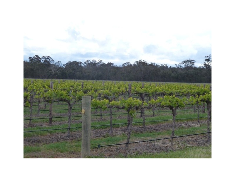 Lot 13 Thyra Road, Moama NSW 2731