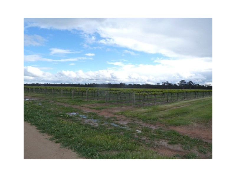 Lot 13 Thyra Road, Moama NSW 2731