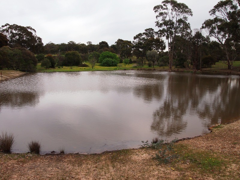 77 Gordon Lane, Nagambie VIC 3608