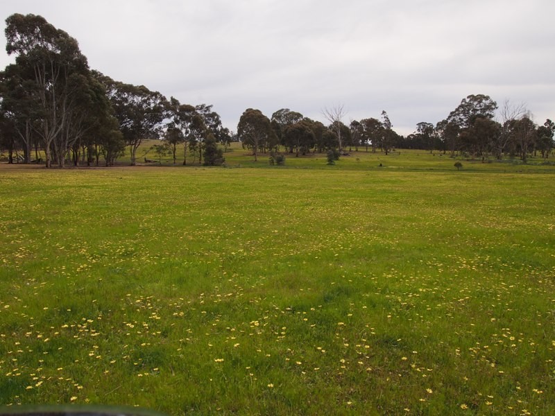 77 Gordon Lane, Nagambie VIC 3608