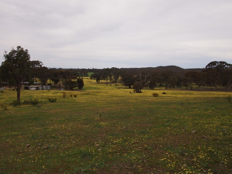 77 Gordon Lane, Nagambie VIC 3608