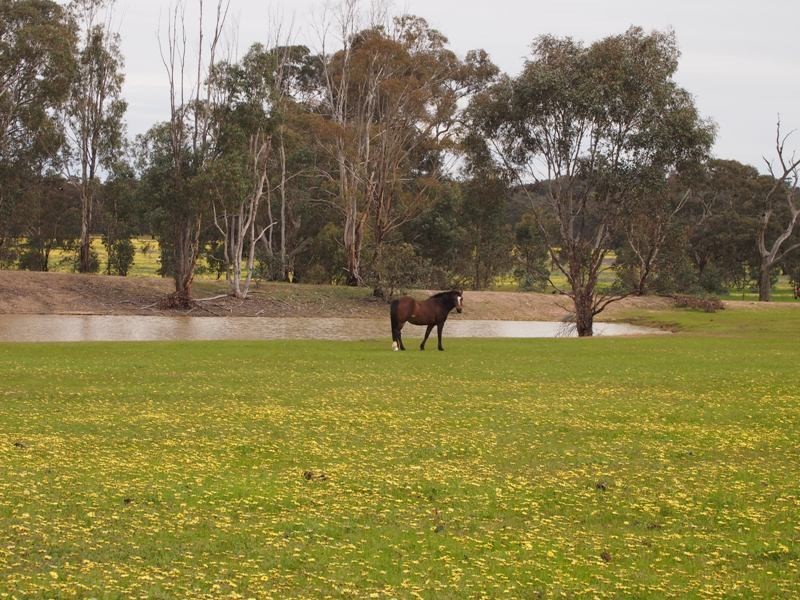 77 Gordon Lane, Nagambie VIC 3608