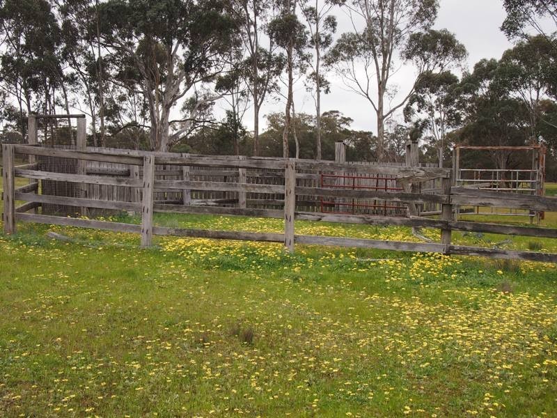 77 Gordon Lane, Nagambie VIC 3608