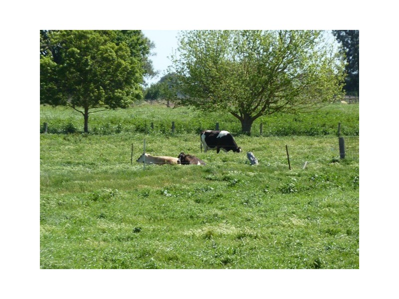 693 Murphy Road, Tongala VIC 3621