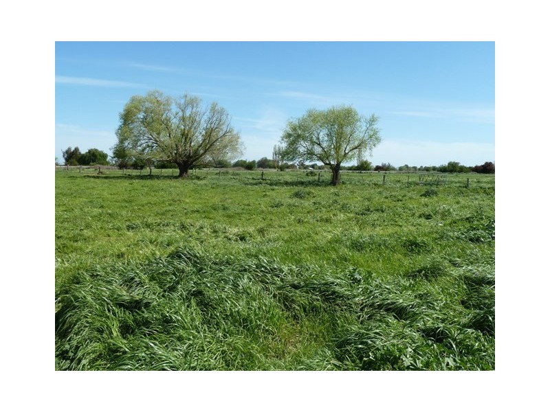 693 Murphy Road, Tongala VIC 3621