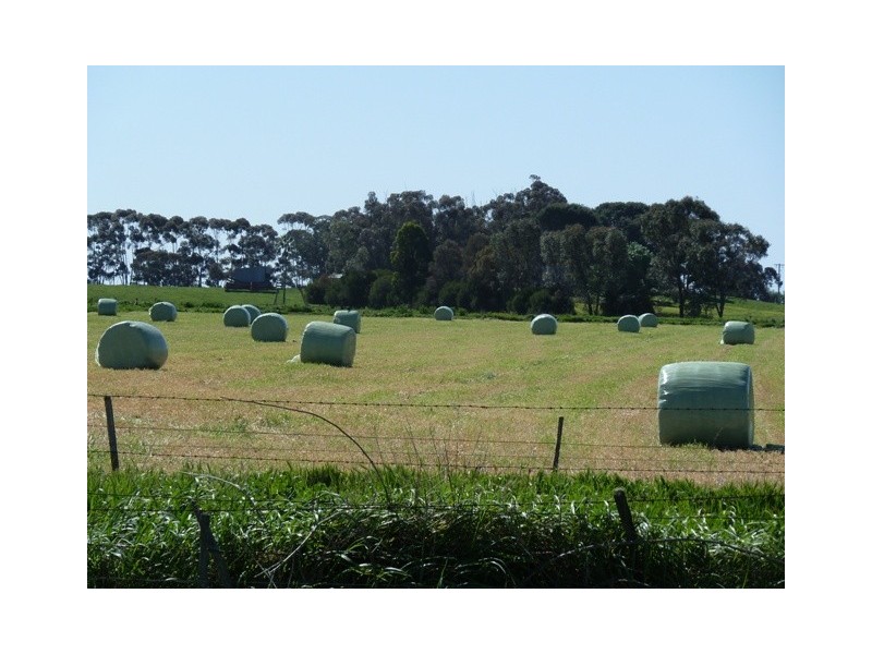 693 Murphy Road, Tongala VIC 3621