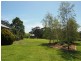 1587 Euroa-Strathbogie Road, Kelvin View via, Euroa VIC 3666