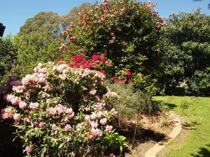 1587 Euroa-Strathbogie Road, Kelvin View via, Euroa VIC 3666
