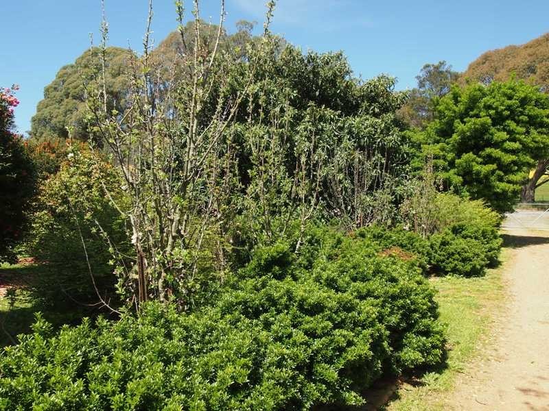 1587 Euroa-Strathbogie Road, Kelvin View via, Euroa VIC 3666